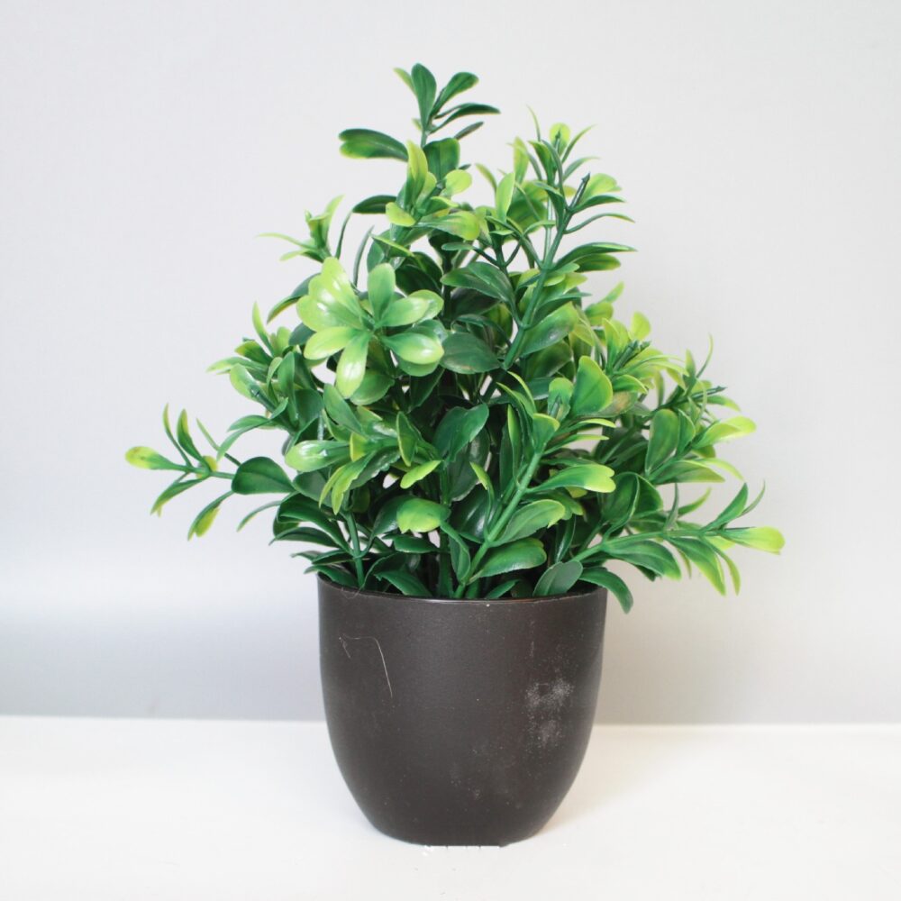 Simulation Simulated Indoor And Outdoor Decoration Plastic Bonsai Eucalyptus Small Pot Plant - Image 4