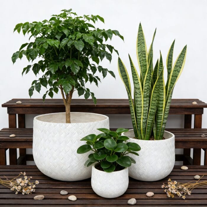 Assorted Sizes Magnesium Oxide Round Planter,21.65-14.17-8.66 Dia Set Of 3 Planter,Outdoor Indoor Plant Pot With Drainage Hole, White Color  With Weaving Pattern Planter For Home Garden Patio